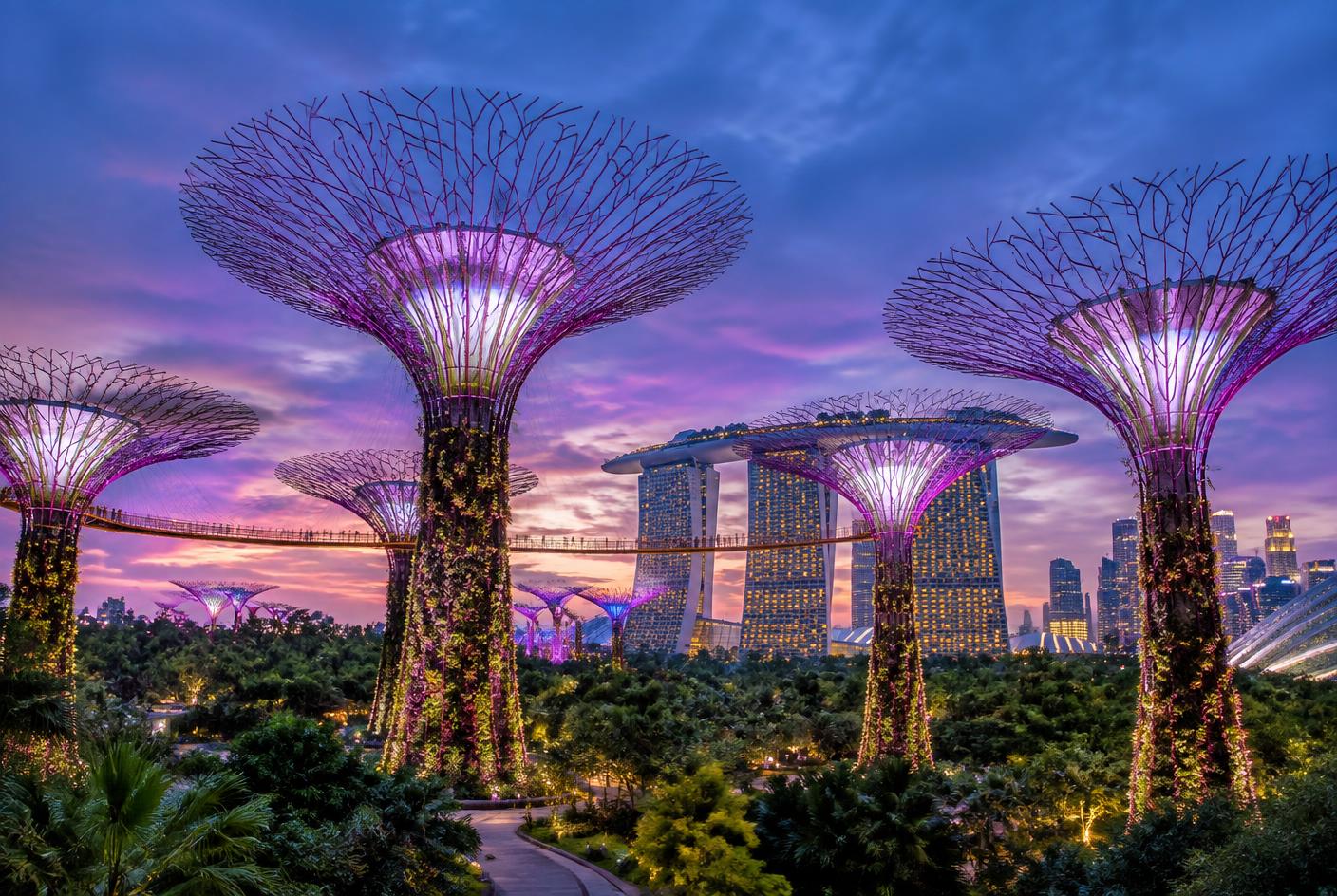 Gardens by the Bay